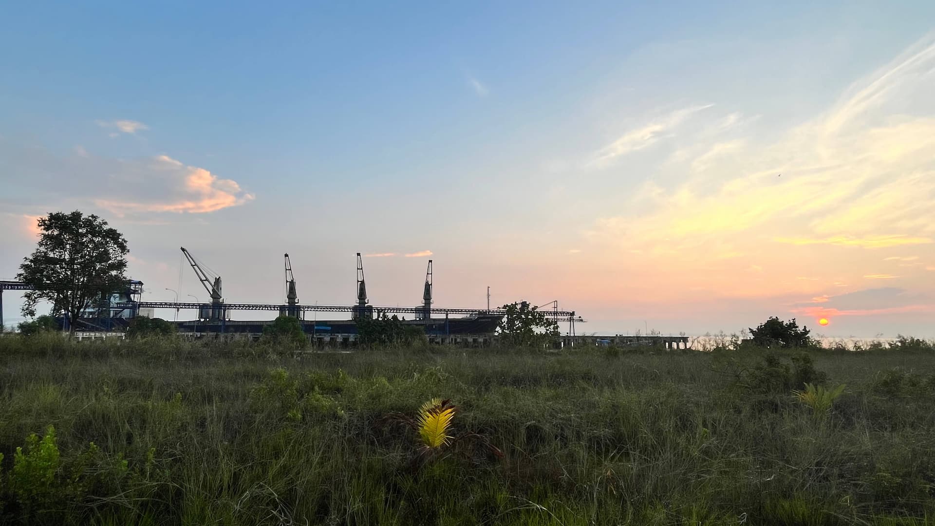 Alternatif Energi Terbarukan untuk Masa Depan yang Lebih Hijau